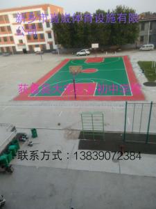 河南省新乡市获嘉县大辛庄乡初中学校篮球场