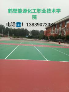 鹤壁能源化工技能职业学院800平方排球场