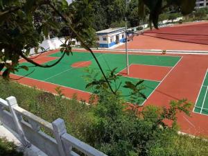 贵州平坝平水中学EPDM球场，人造草